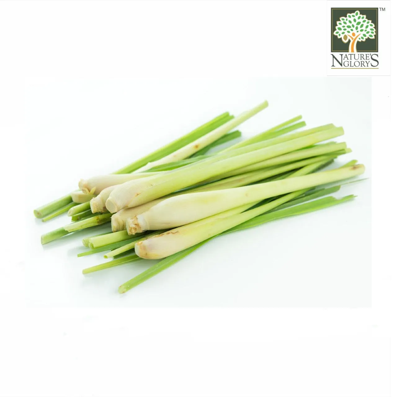 Lemongrass Thai (Pesticide Free) 1pkt